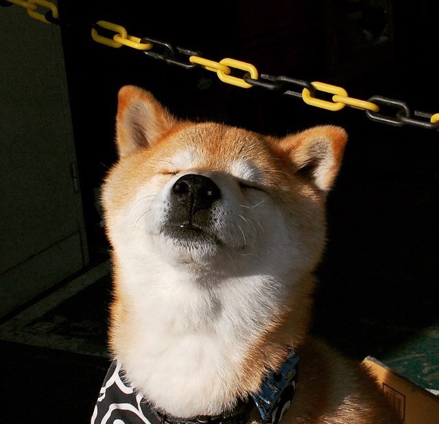 中国足球年度青训升入一线队成功率统计，2021年中国足球青训