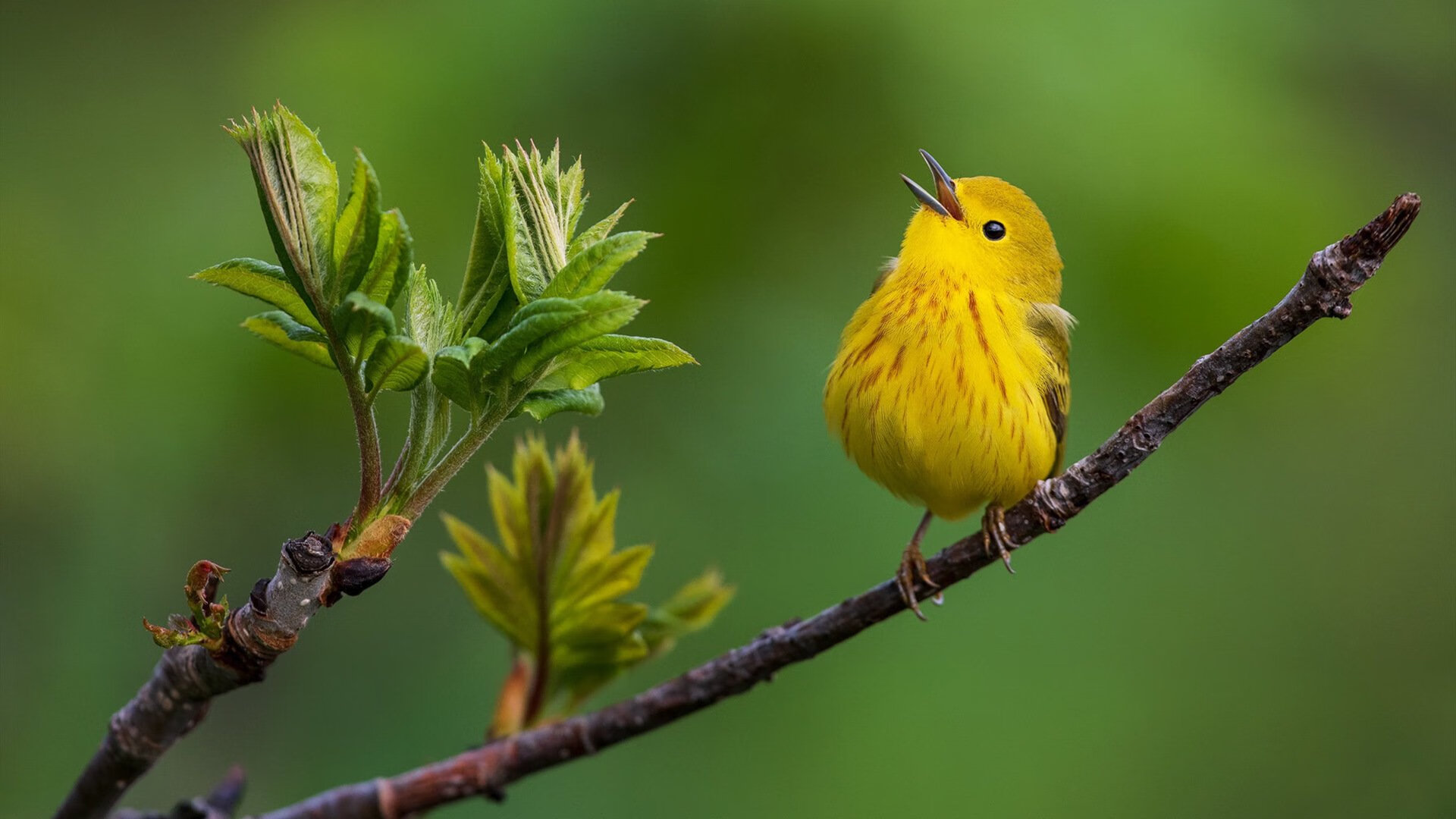 俱乐部战略目标调整关注长期发展与青训体系建设并重，俱乐部发展规划及思路