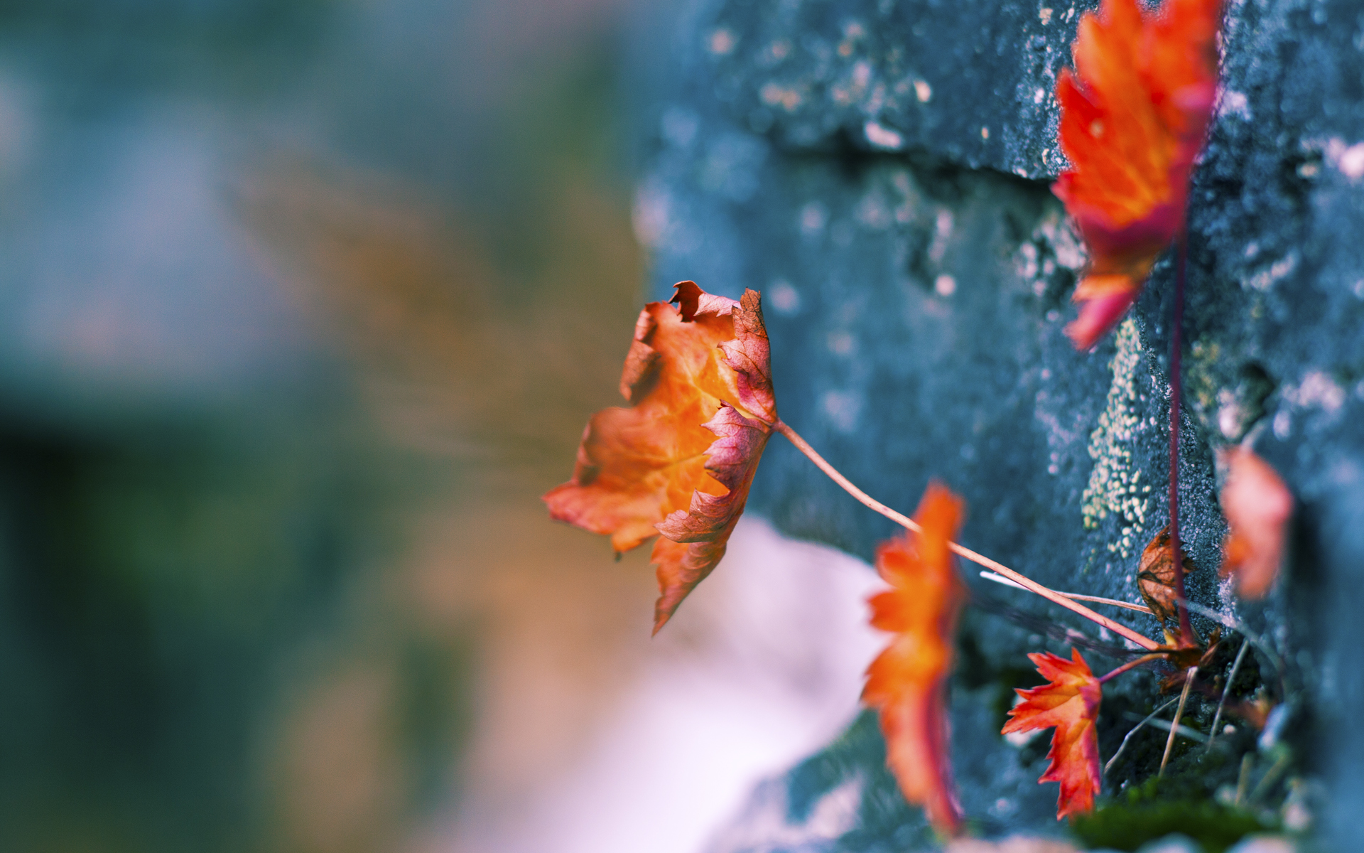 美国男篮在世界杯决赛中逆转夺冠,实现三连冠壮举