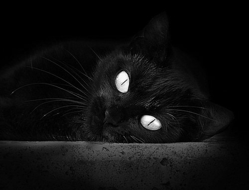 英格兰橄榄球创新奖表彰基层力量，英格兰橄榄球国家队