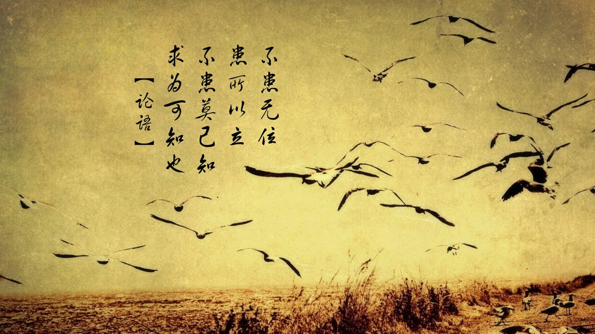 华体会app-中国足球职业联赛注重球员综合素质培养，中国足球职业联赛专项治理工作会