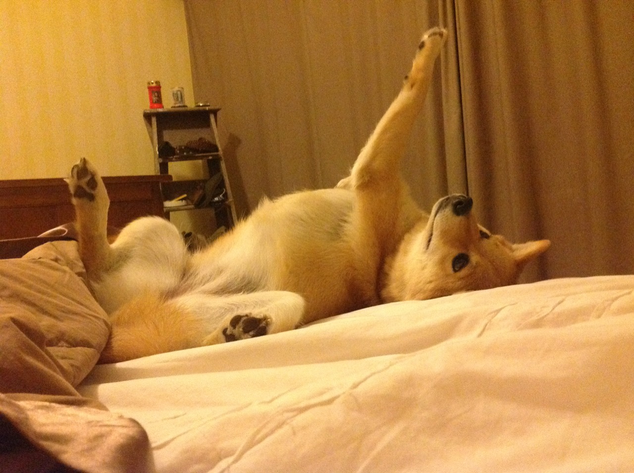 华体会手机网站-从亏到赢？中国养老基金投资运营机制渐成熟，中国养老基金筹备