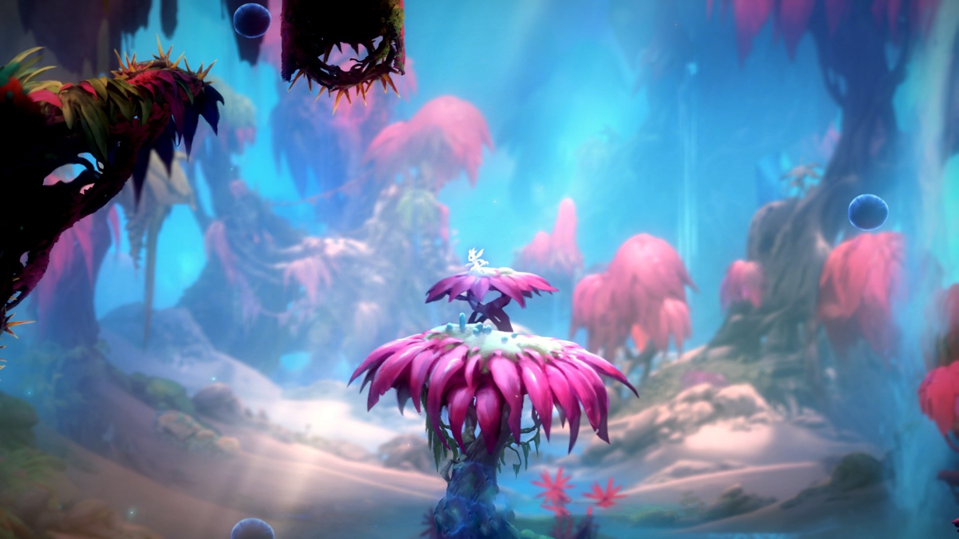 从亏到赢?中国养老基金投资运营机制渐成熟,中国养老基金筹备