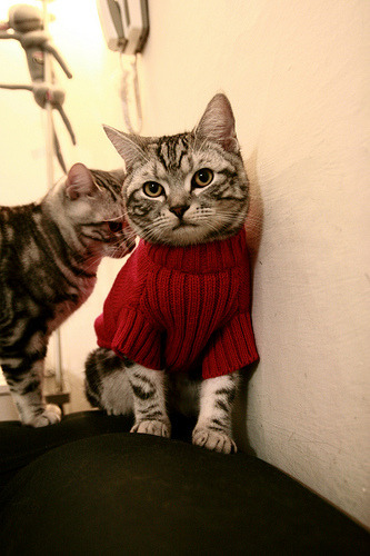 华体会网址-俱乐部年度青训成果报告 发布选材成果与培养案例，青训出名的俱乐部